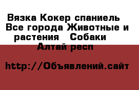 Вязка Кокер спаниель - Все города Животные и растения » Собаки   . Алтай респ.